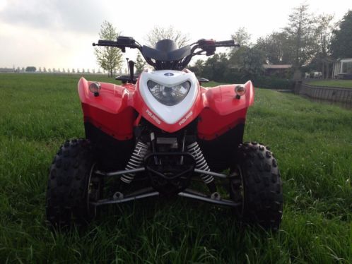 Polaris Phoenix 200cc Quad (geschikt voor op de weg)