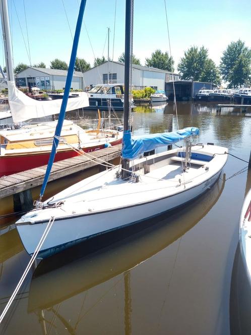 Polyvalk  Geuzenvalk