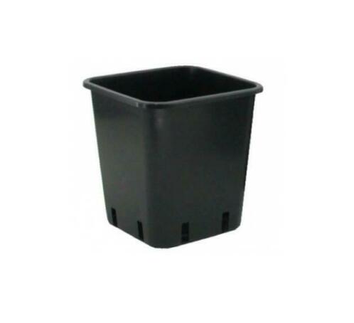 Pot vierkant PP Itali 11 ltr 25x25x27 cm