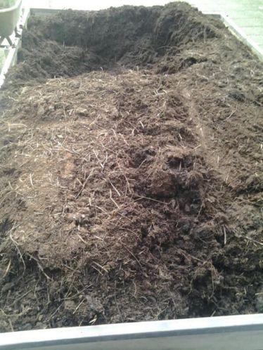 Potgrond - Compost