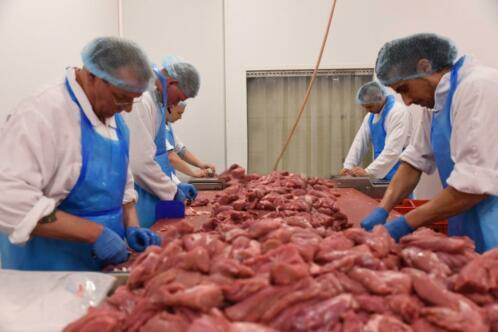 productie medewerker vleesindustrie 36-40 uur