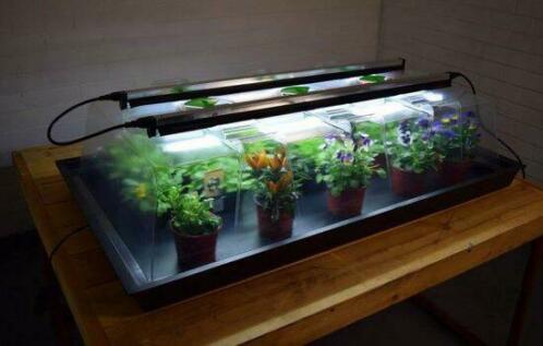 Propagator Geopod XL Verwarmd met gentegreerde groeilampen