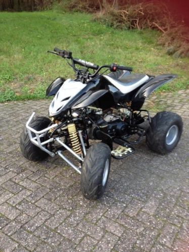 Quad 250 cc Kazuma Falcon super mooi