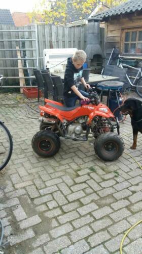 Quad 50 cc