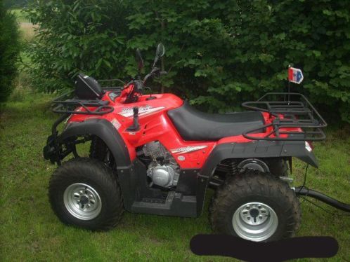 QUAD JIANSHE WILDCAT JS250 met kenteken en trekhaak, voor au