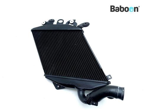 Radiateur Links Ducati Diavel 2015-2018