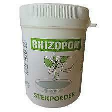 Rhizopon Stekpoeder Groen Chryzotop 0.25  80 gram