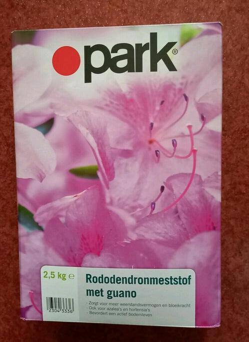 Rhododendron mestkorrels