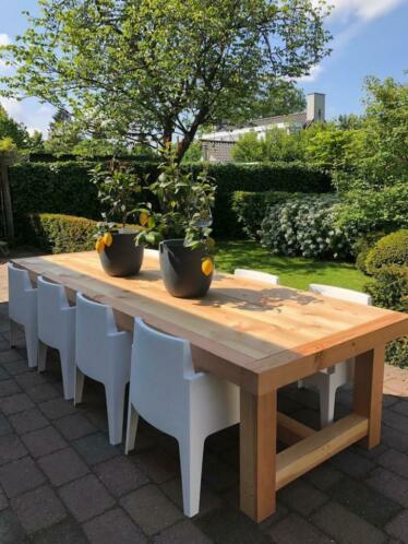 robuuste douglas tuintafel met lijst van 9 cm     310x117x