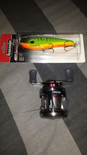 Rozemeijer molen  plug