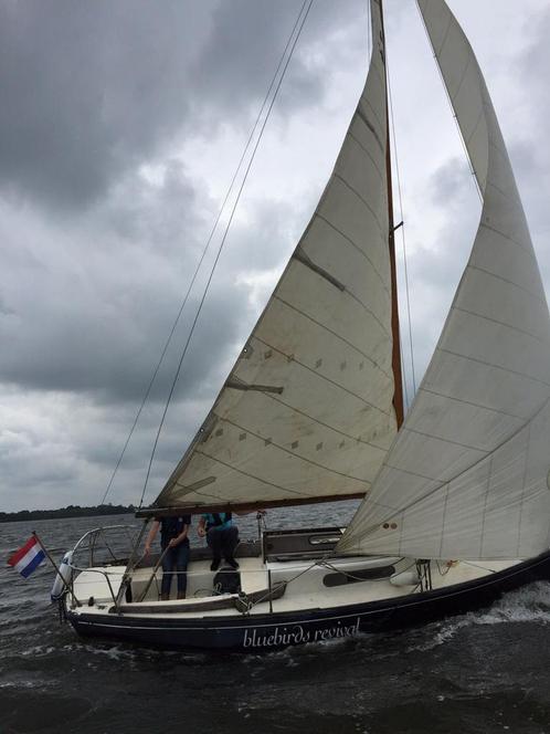 Sailmaster 22 (mooie lijnen wel een opknapper)