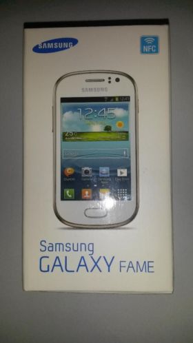 Samsung Galaxy Fame 