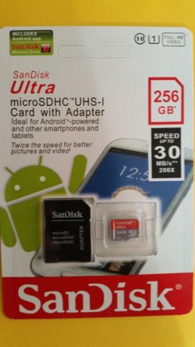 sandisk 256 GB