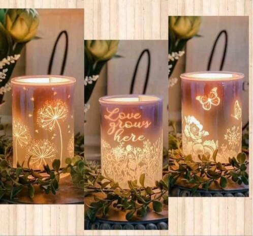 Scentsy collegas gezocht