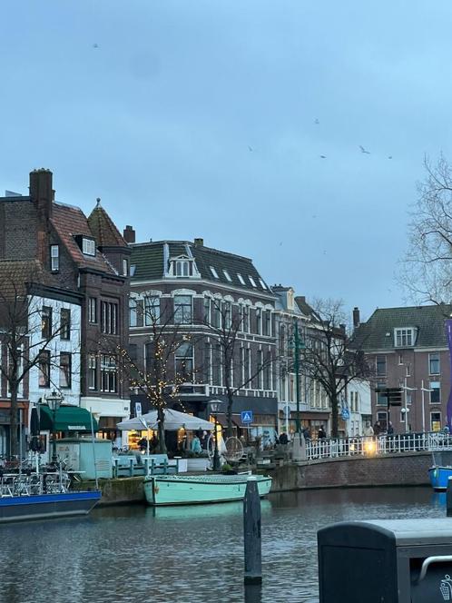 Schoonmaak Leiden