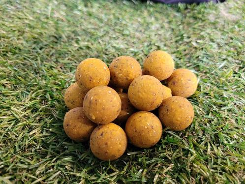 Scopex boilies 10kg