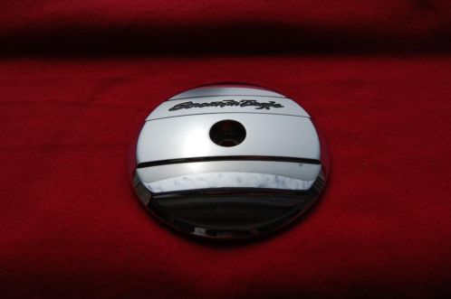 Screaming Eagle air cleaner insert.