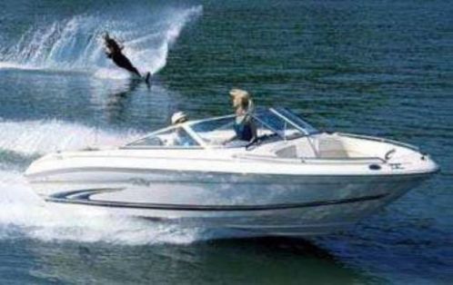 Sea Ray 190 BR in TOP conditie