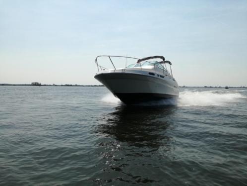 Sea Ray 230 Signature