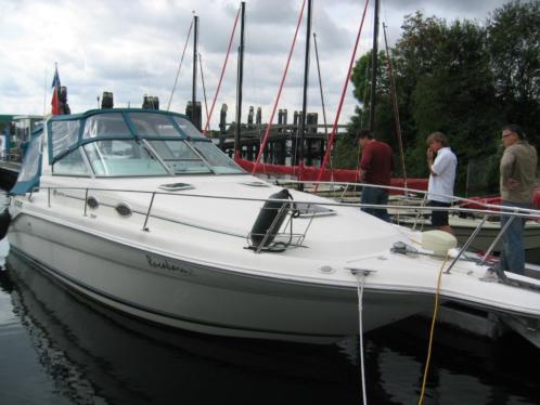 Sea Ray 290 (luxe uitvoering)