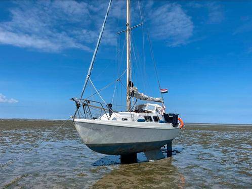 Seamaster sailer 23 kimkieler