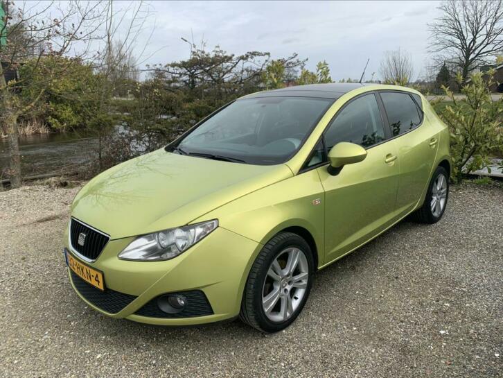 Seat Ibiza 1.4 16V 63KW 5DRS 2009 Geel