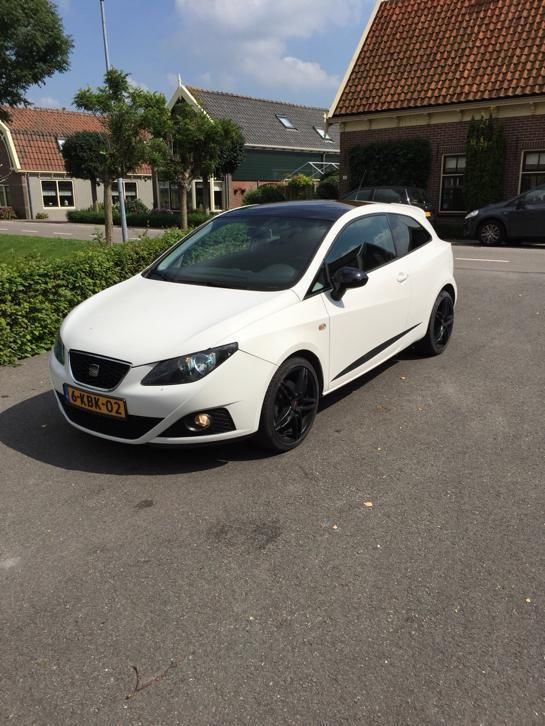 Seat Ibiza 2.0 TDI FR 105KW 2010 Wit