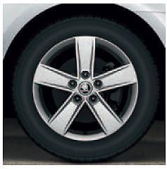 Set 16034 Star velgen  winterbanden  Skoda Octavia  NIEUW