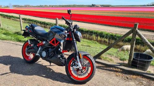 Shiver 900 nieuwstaat