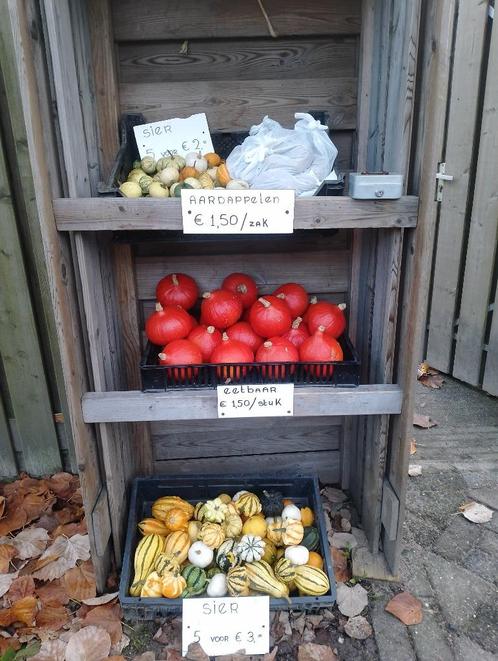 Sierpompoenen, sier pompoenen, kalebassen