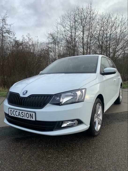 Skoda Fabia 1.0 Greentech 75pk 2018 Wit