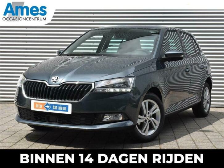 Skoda Fabia 1.0TSI 95pk Ambition  Parkeersensoren  AppleCa