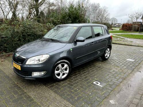 Skoda Fabia 1.2 TDI 55KW HB 2011 Grijs incl Trekhaak