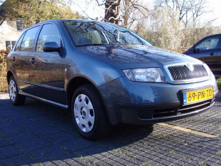 Skoda Fabia 1.4 55KW 2004 Grijs incl.NAP, Dealer onderhouden