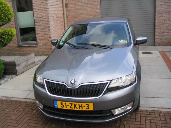 Skoda Rapid 1.2 TSI 63KW 2012 Grijs