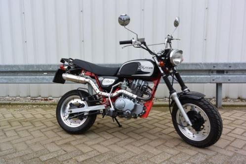 Skyteam 125cc Cobra - 2012 - Catawiki