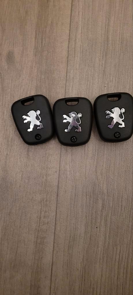 Sleutel behuizing Peugeot 107 met logo