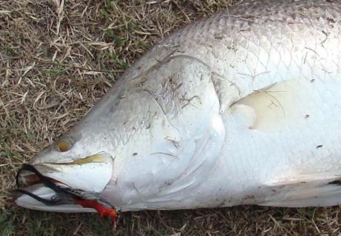 Snoekstreamers voor spinhengel en vlieghengel Serie T