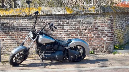 Softail eigenbouw onderdelen