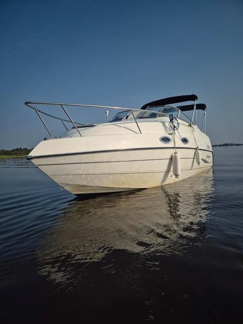 Speedcruiser. Speedboot Stingray, Bayliner, Sea Ray