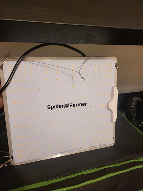 Spider farmer sf1000 2024