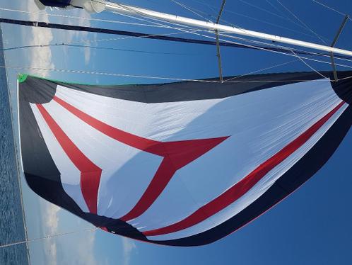 Spinaker