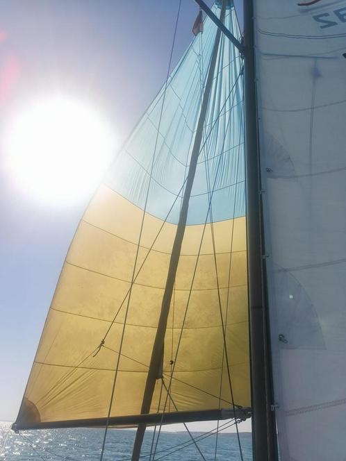 Spinaker 880x470