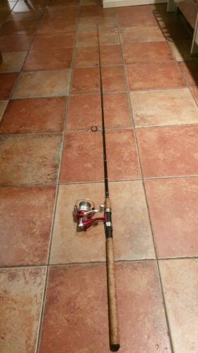 Spinhengel 2.40m Daiwa Lexa Spro Red Arc 10200 molen