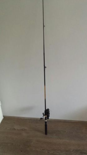Spinhengel voor beginners