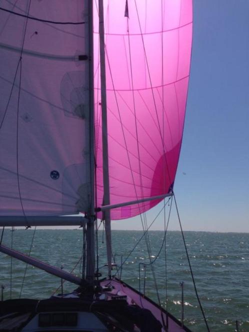 Spinnaker Hagoort sails tri-radiaal 82 m2