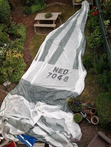 Spinnaker North Sails (Dehler 36 JV)