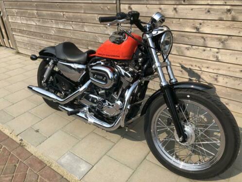 Sportster 1200 super low