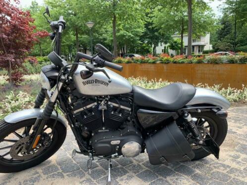 Sportster iron Candy uitvoering