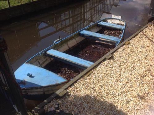 Stalen roeiboot met houten roeispanen